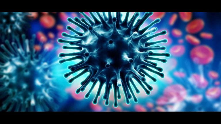 flu virus